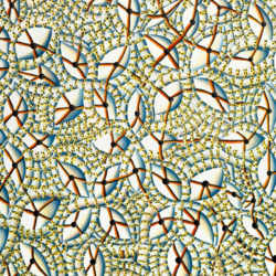 Christine Krämer – Ornamental Christine Krämer – Ornamental