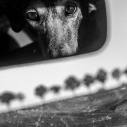 Christine Krämer – Photography Christine Krämer – Photography