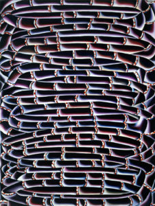 Christine Krämer · Coral Sea · 1997 · 120 x 160 cm · oil on canvas Christine Krämer · Coral Sea · 1997 · 120 x 160 cm · oil on canvas