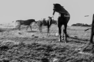 Christine Krämer · Photography · 2013