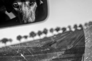 Christine Krämer · Photography · 2015